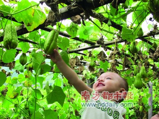 凯景酒店推特惠超值中秋团圆宴