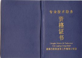 高级经济论文发表期刊_参评高级经济师条件_高级育儿师师报名条件