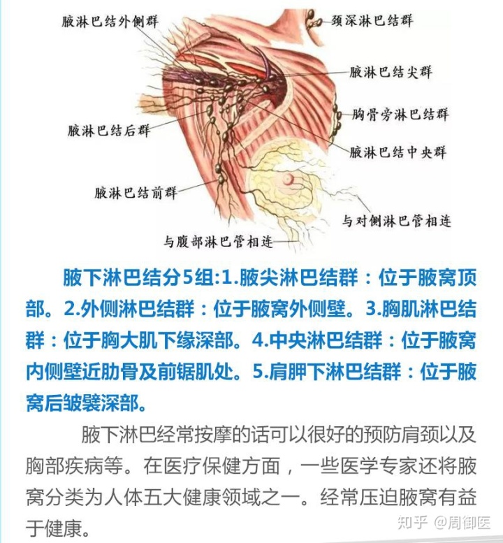 腹部沟酸胀是淋巴发炎吗_腹股沟淋巴结触诊_腹股斜沟疝要不要紧