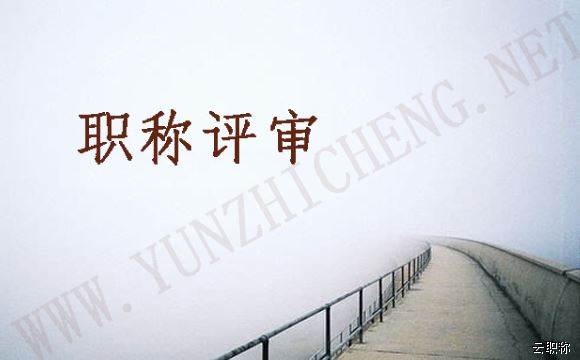教师高级专业技术资格评审表格_高级经济师评审内容_卫生高级专业技术资格评审表