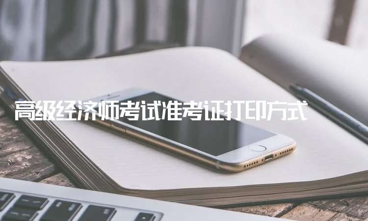 经济师考试准考证打印_公务员准考证照片_王琳准考证照片
