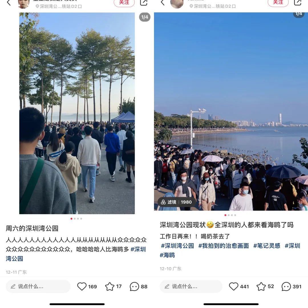 房产经济人_周口房产经济栏目_北京世纪星房产经济有限公司