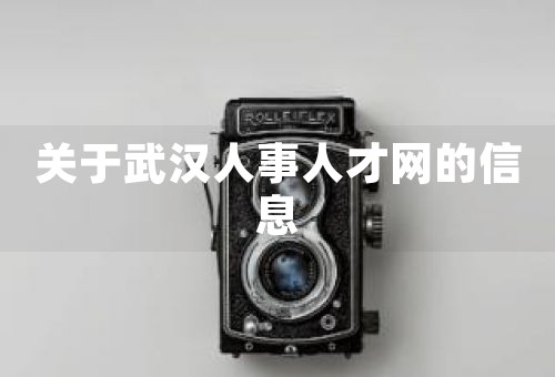 关于武汉人事人才网的信息