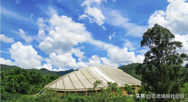 吉大珠海分校学费_香港大学珠海分校学费_北师大珠海分校学费