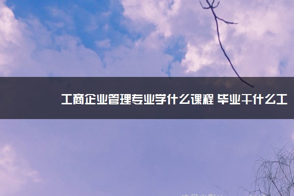 企业管理专业学什么_企业高管一般是学什么专业_企业管理层学什么专业