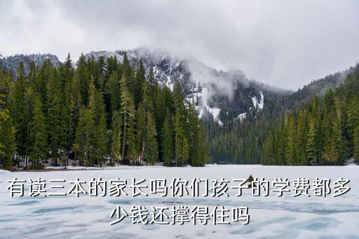 有读三本的家长吗你们孩子的学费都多少钱还撑得住吗