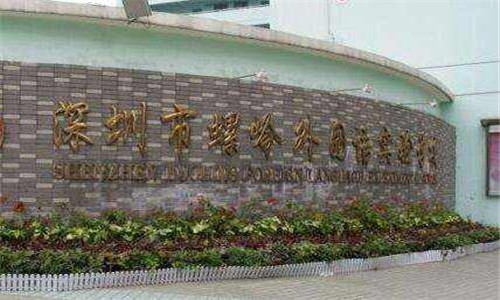     螺岭外国语实验学校  