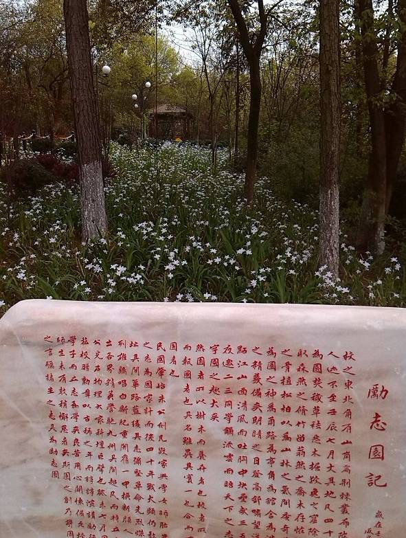 宁乡一中重本率_宁乡一中全国排名_宁乡一中上线率