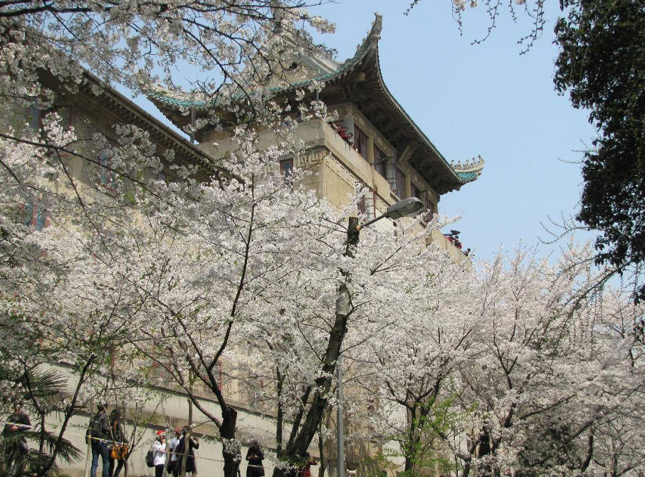 武汉大学学费_武汉大学的学费_武汉大学每学期学费