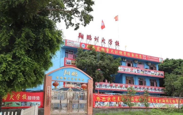 重庆银利宠物美容学校_重庆宠物美容培训学校排名_重庆银利宠物学校学费