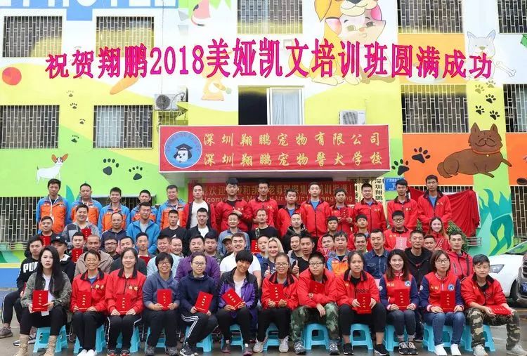 重庆银利宠物美容学校_重庆宠物美容培训学校排名_重庆银利宠物学校学费