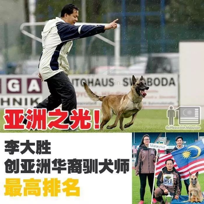 重庆银利宠物美容学校_重庆银利宠物学校学费_重庆宠物美容培训学校排名