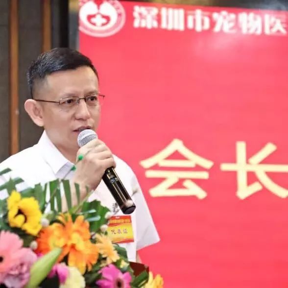 重庆银利宠物美容学校_重庆银利宠物学校学费_重庆宠物美容培训学校排名