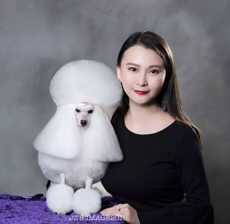 重庆银利宠物美容学校_重庆银利宠物学校学费_重庆宠物美容培训学校排名