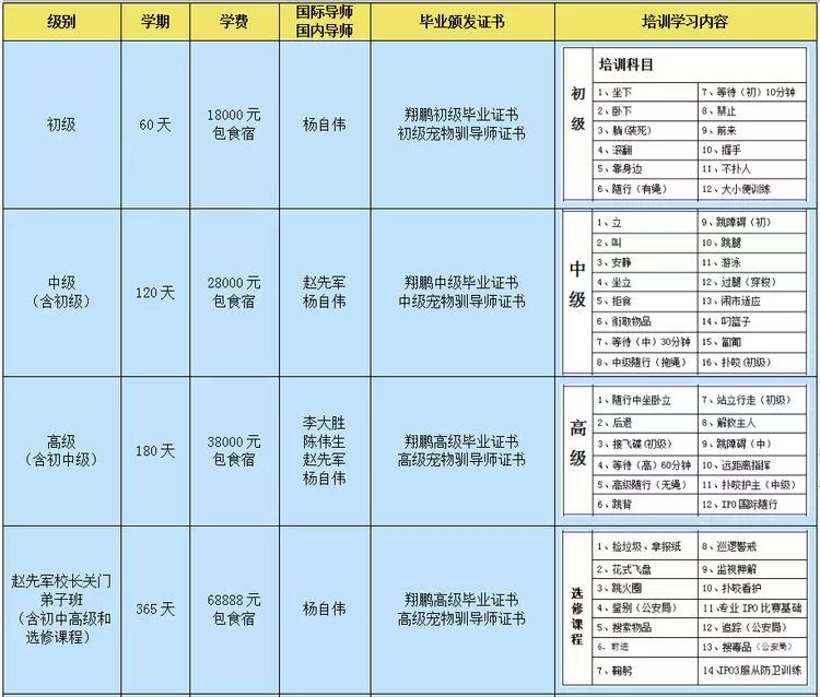 重庆银利宠物美容学校_重庆银利宠物学校学费_重庆宠物美容培训学校排名