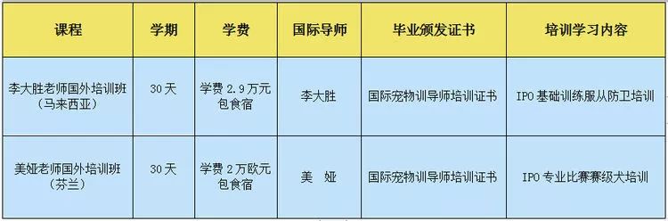 重庆银利宠物美容学校_重庆银利宠物学校学费_重庆宠物美容培训学校排名