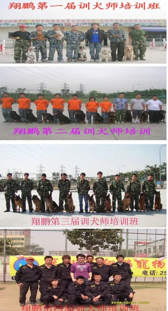 重庆银利宠物学校学费_重庆宠物美容培训学校排名_重庆银利宠物美容学校