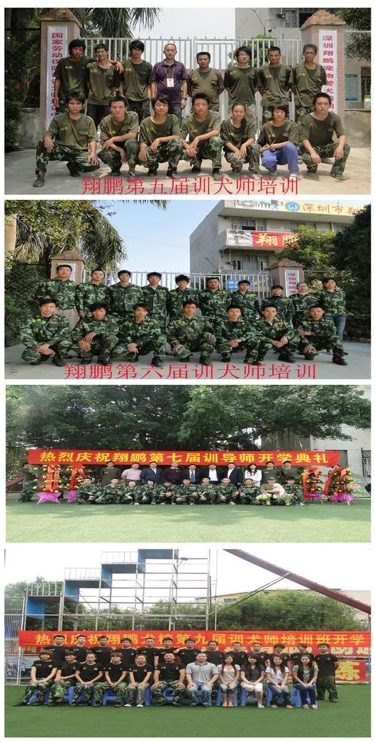 重庆银利宠物学校学费_重庆宠物美容培训学校排名_重庆银利宠物美容学校