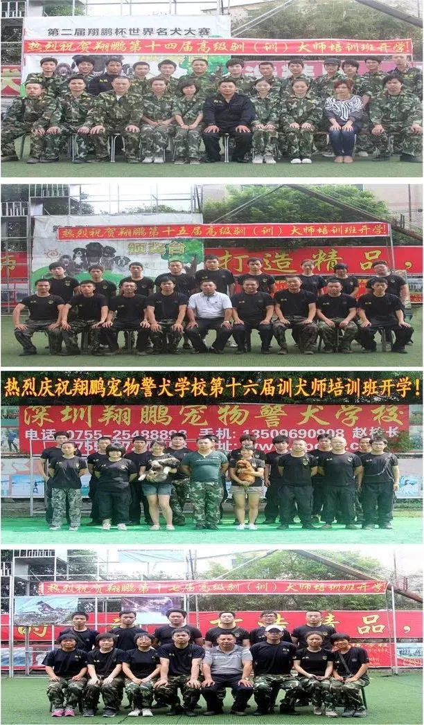 重庆银利宠物学校学费_重庆宠物美容培训学校排名_重庆银利宠物美容学校