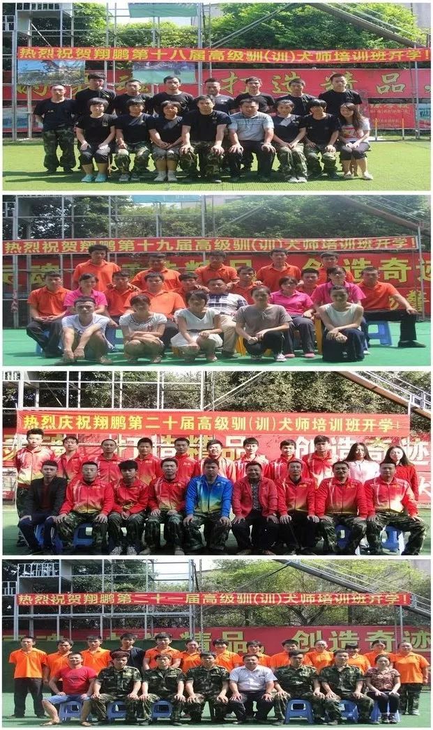 重庆银利宠物美容学校_重庆宠物美容培训学校排名_重庆银利宠物学校学费