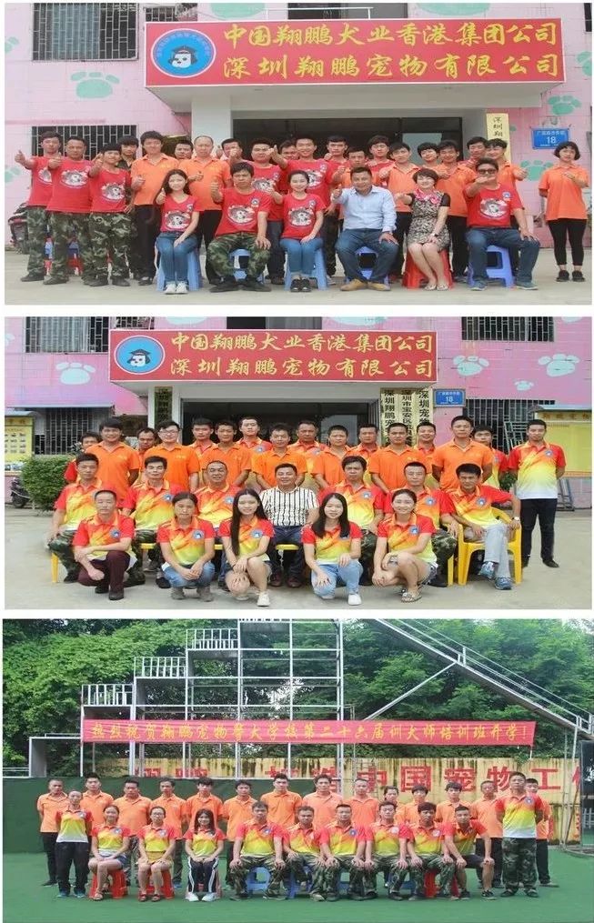 重庆银利宠物学校学费_重庆宠物美容培训学校排名_重庆银利宠物美容学校