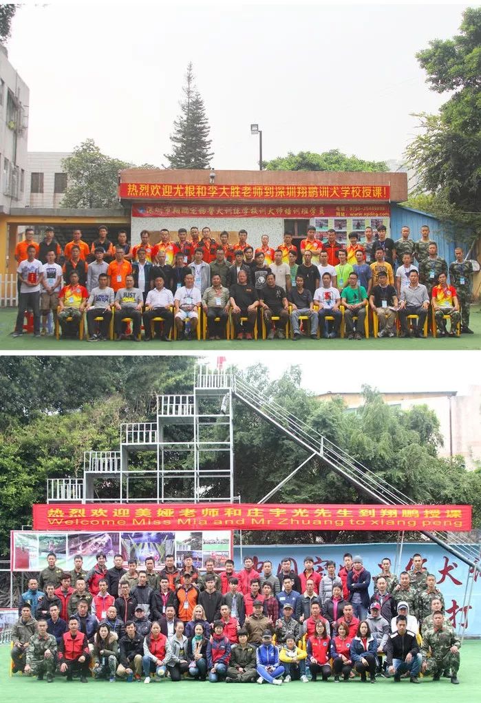重庆银利宠物学校学费_重庆银利宠物美容学校_重庆宠物美容培训学校排名