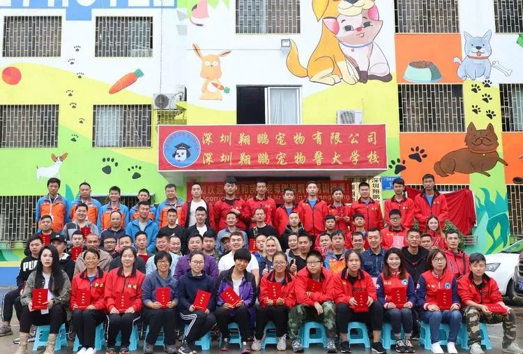 重庆银利宠物学校学费_重庆宠物美容培训学校排名_重庆银利宠物美容学校