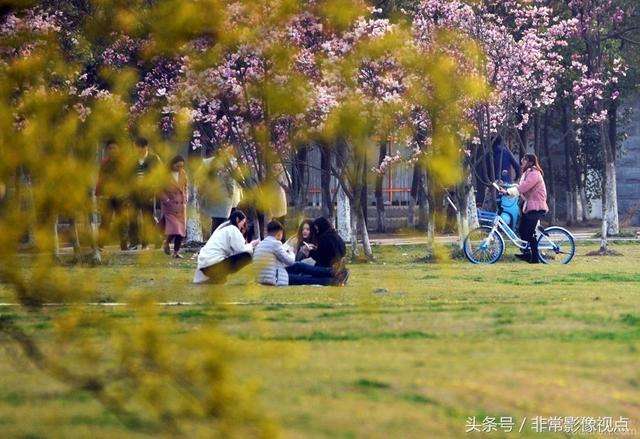 皖西学院是几本院校？在安徽排名怎么样？最好的专业是什么？