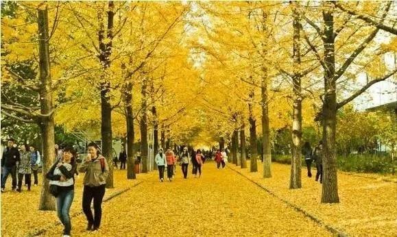 皖西学院是几本院校？在安徽排名怎么样？最好的专业是什么？