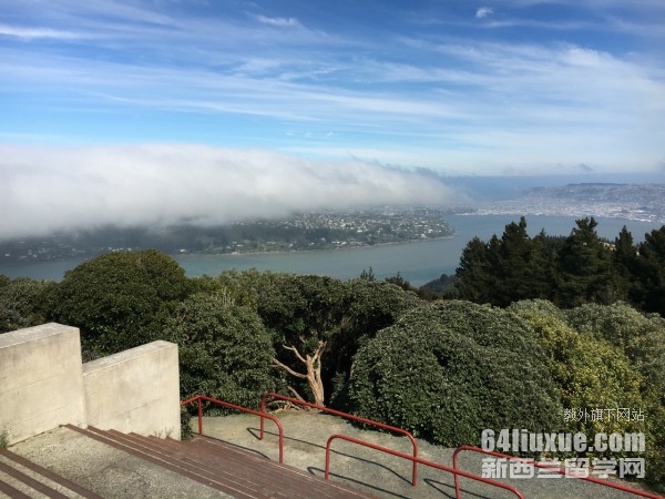 留学新西兰大学的条件