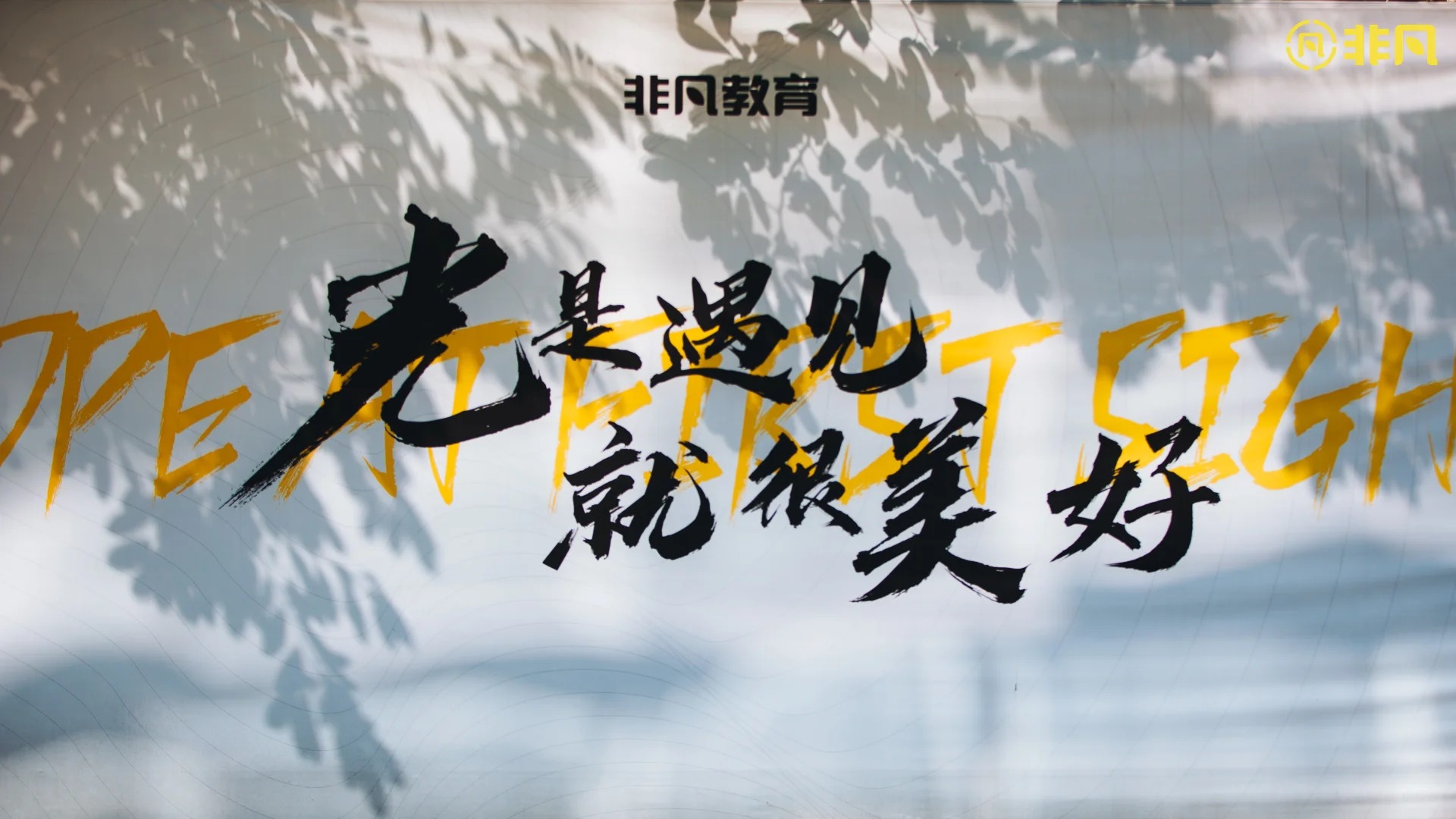 非凡艺术培训学校_非凡教育专注艺术生文化课17年_杭州非凡教育艺术生文化课培训