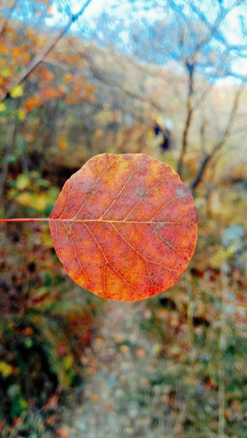 微信图片_20190109174015