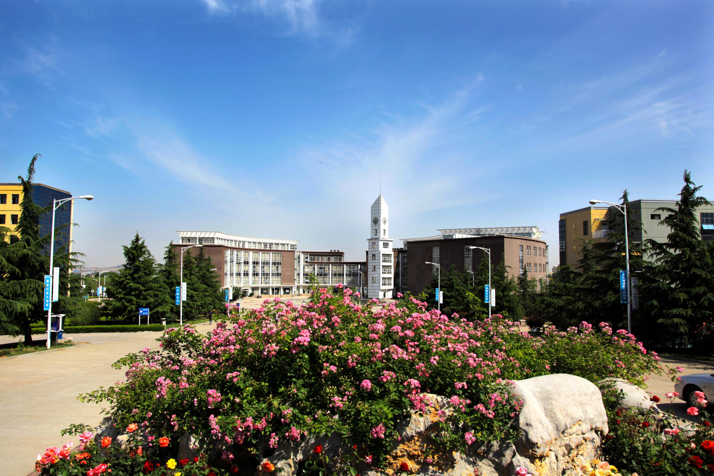 青岛琴岛学院怎样_青岛琴岛学院学费多少_青岛琴岛学院是几本