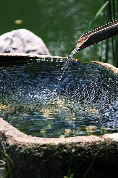 夏至诗词_元稹夏至诗_夏天景色的诗句