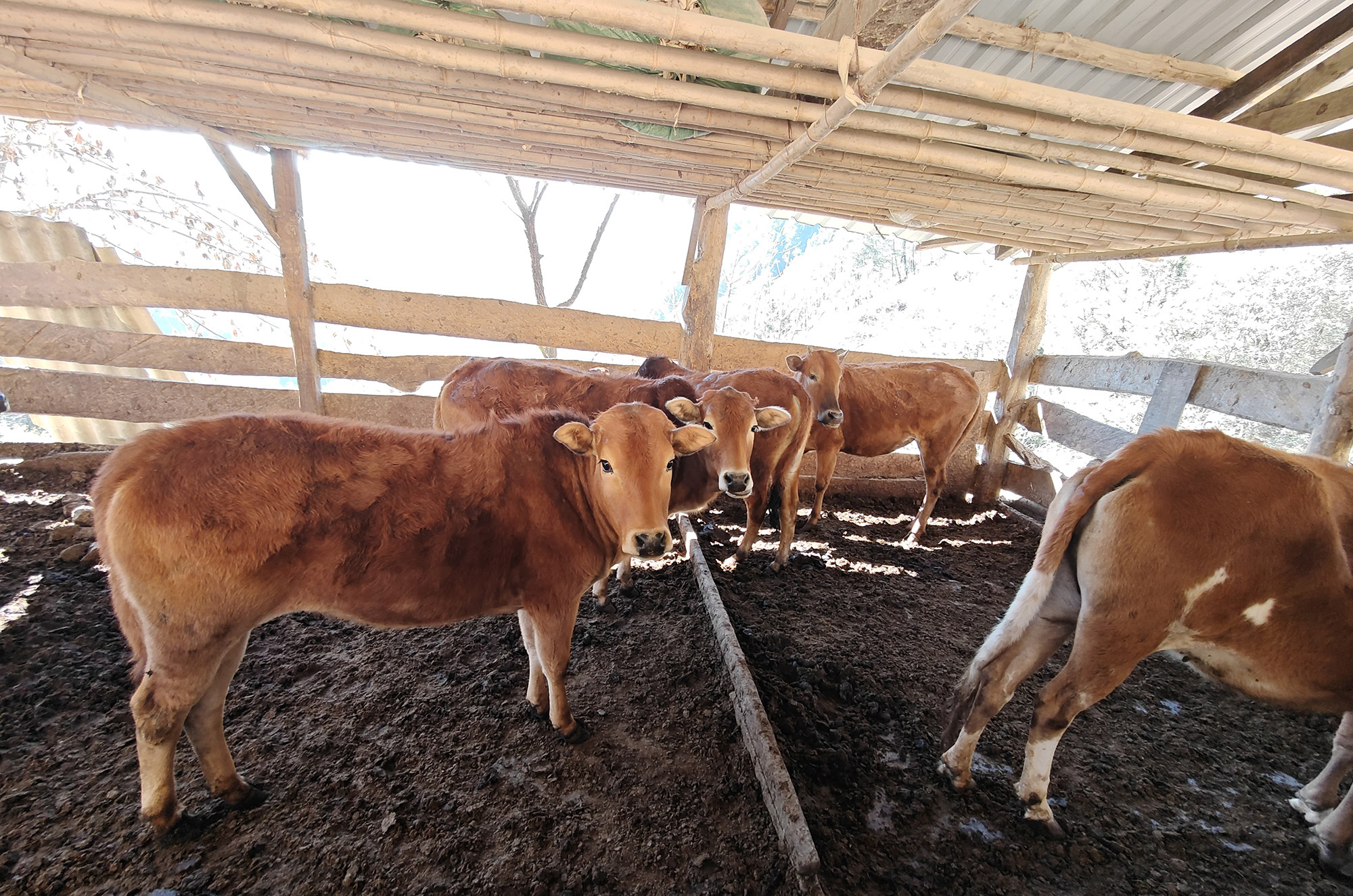 幸福列车4人小品_追梦人幸福超市_幸福的人