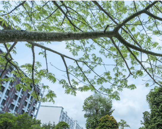 中国大学化学工程与技术学科排名_艾瑞深校友会网2024中国大学化学工程与技术学科排名_化学工程专业排名