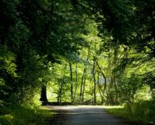 贵州高考一本线多少分（贵州省一本线多少分2023年）