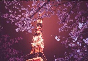 2022年执业药师考试成绩（2022执业药师哪天出成绩啊）