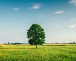 专升本成绩怎么算总分（河北专升本成绩计算方法）