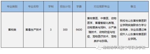 聊城护理职业学院_潍坊坊华科技中等职业学校优势_潍坊坊华科技中等职业学校