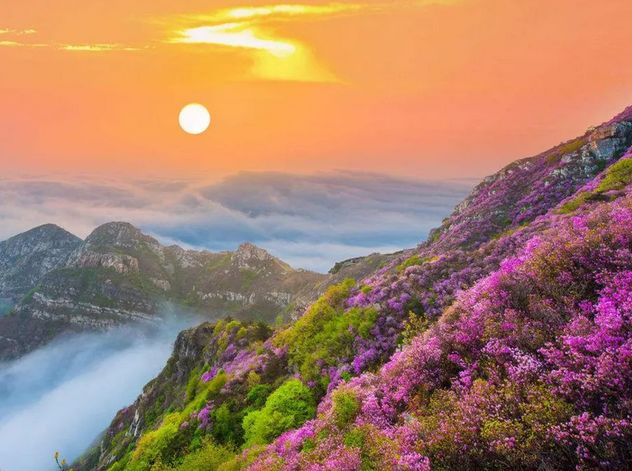 大连大学是几本_大连大学_大连大学特色专业