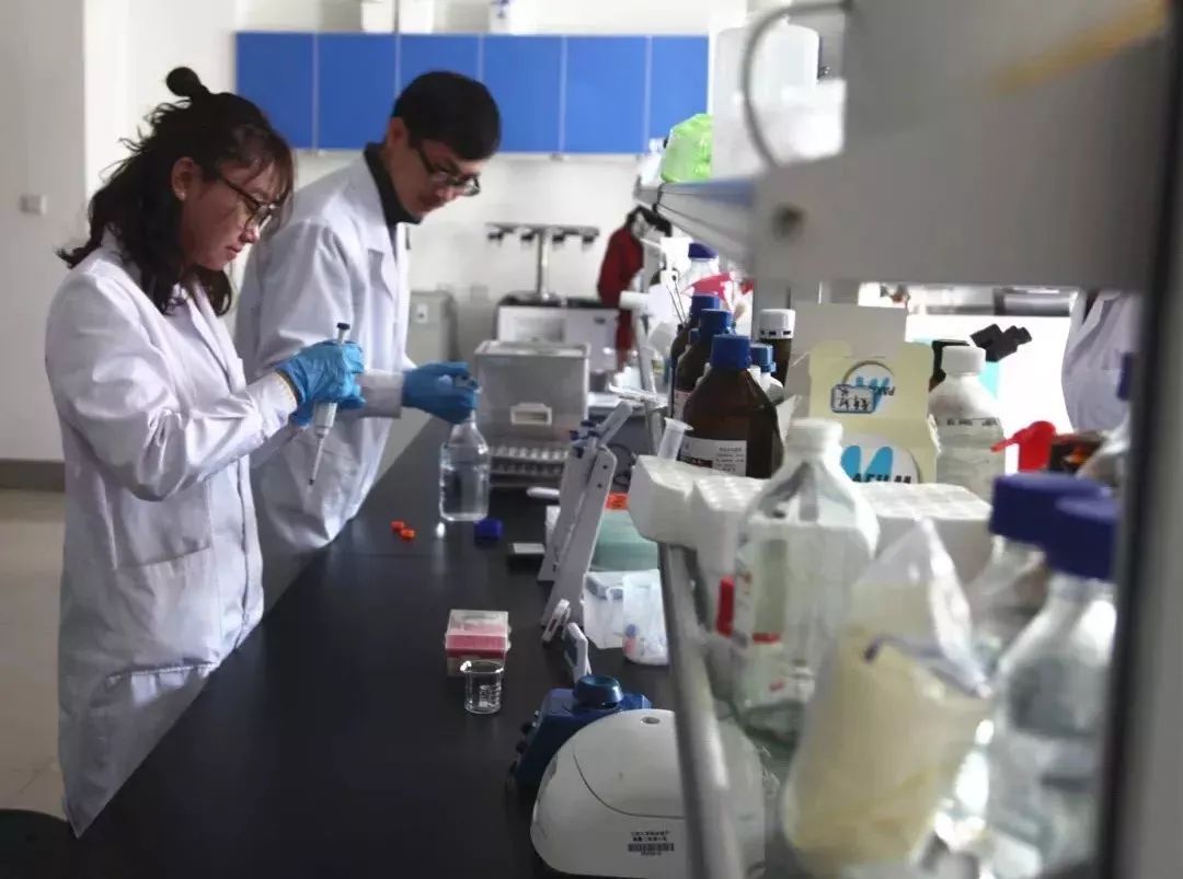 大连大学_大连大学是几本_大连大学特色专业