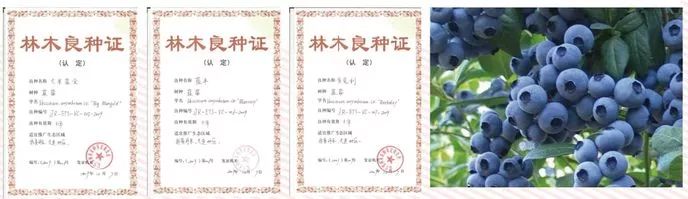 大连大学是几本_大连大学_大连大学特色专业