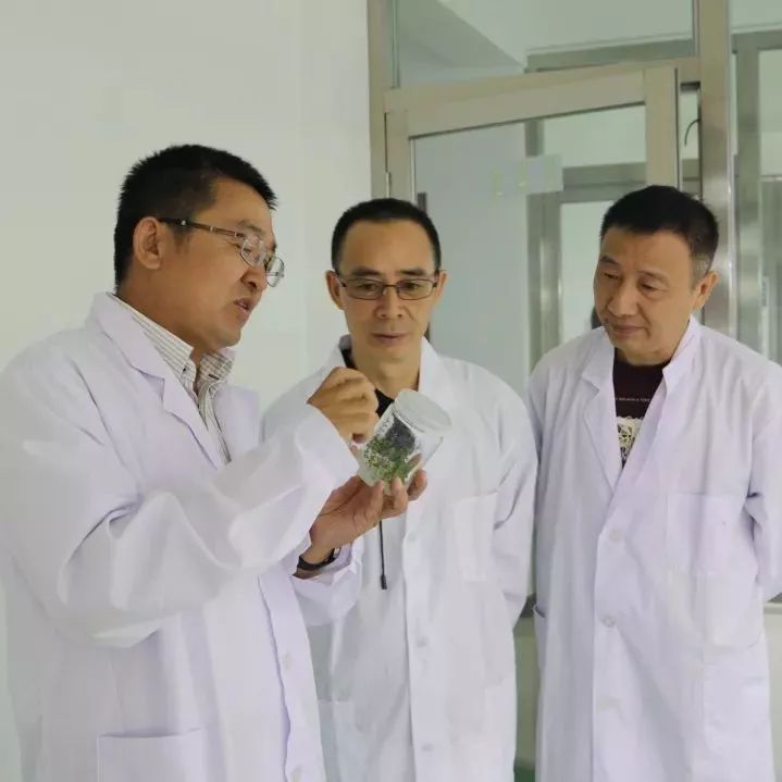 大连大学是几本_大连大学特色专业_大连大学