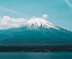 潍坊科技学院的录取分数线（潍坊科技学院专科分数）