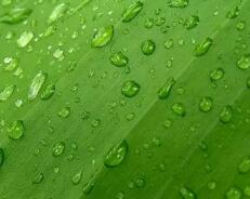 上海大学 高考分数线近几年的变化趋势怎么分析