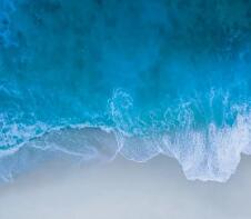 陕西高考分数线预计2024年具体多少？考生必看