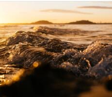 西南大学育才学院录取分数线（西南大学育才学院分数线）