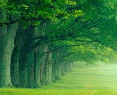 石河子大学专科批（石河子大学2022年录取线是多少）