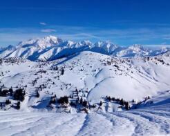 浙江工商大学杭州商学院是二本吗（杭州商学院是几本）